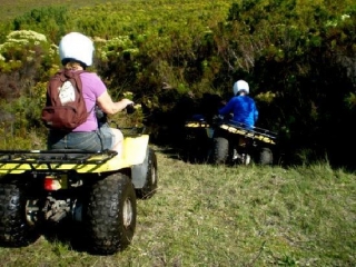 Initiation quad